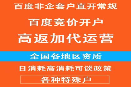 某知名品牌SEM广告投放的创意与执行